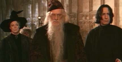  The Harry Potter Galleries  on YCDTOTV.de     Path:  www.YCDTOT.de/hp2_img/f4_605.jpg 