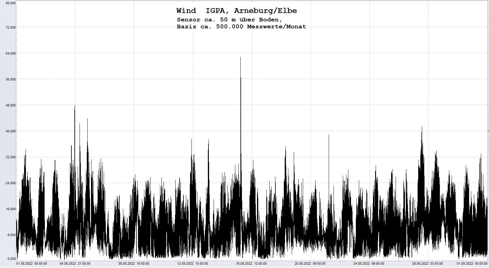 Arneburg Histogramm Winddaten Monat August 2022, 
  Sensor auf Gebude, ca. 50 m ber Erdboden, Basis: 5s-Aufzeichnung